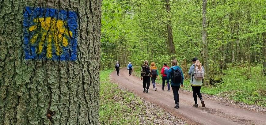 Laimėtas projektas „CAMINO LITUANO KULTŪROS KELIAS - TAVO KELIAS“ 