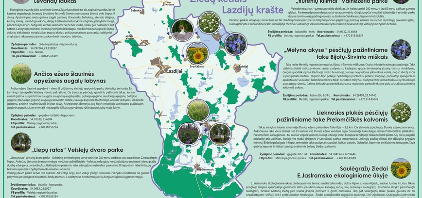 Virtual map of Ring Roads in Lazdijai region