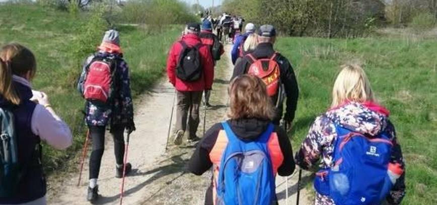 Дорога, ведущая к тишине: тропа Камино Литуано через регион Лаздияй