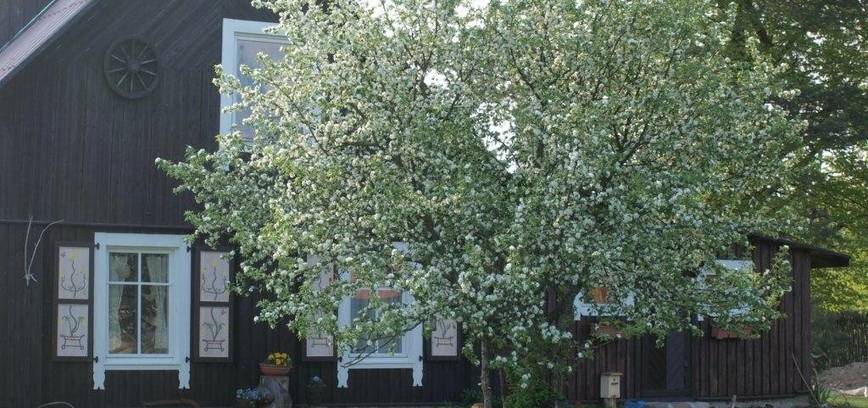 Etnokultūrinės kaimo turizmo sodybos konkursas 2026