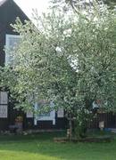 Etnokultūrinės kaimo turizmo sodybos konkursas 2026