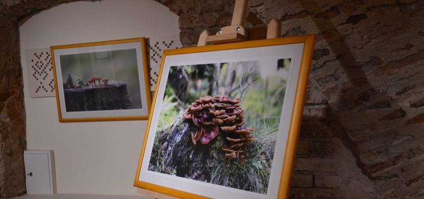 Fotoausstellung von Bronius Krakevičius „Spaziergang durch Dzūkija“