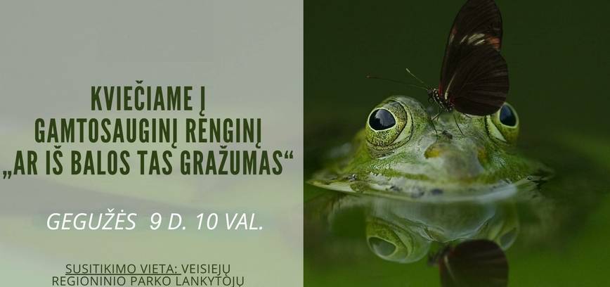 Gamtosauginis renginys 