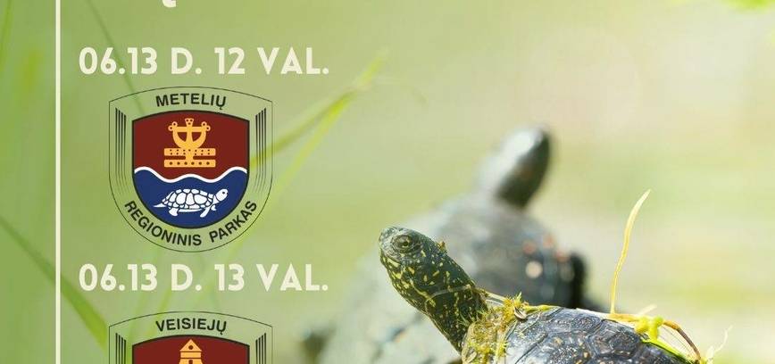 Naturschutz-Aktion „Schildkröten kommen nach Hause!“