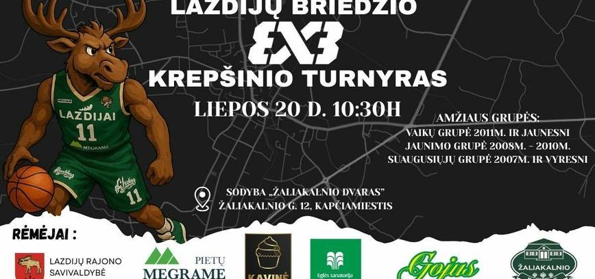  Lazdijų Briedžio 3x3 turnyras