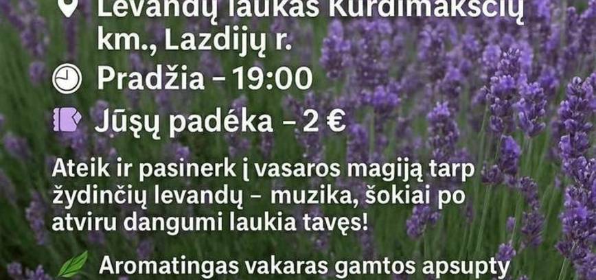 Movement in the Lavender Field