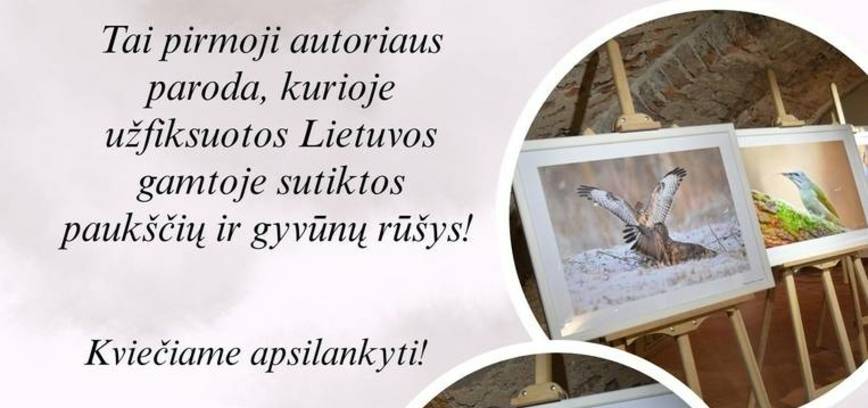 Vaidas Kunigėlis exhibition