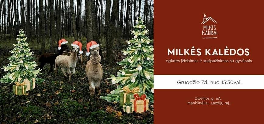 MILKĖ WEIHNACHTEN: Den Weihnachtsbaum anzünden und die Tiere kennenlernen