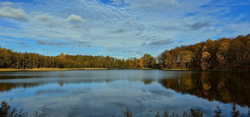 Austėjos Elenos Pugačiauskaitės fotografijų parodos „Gamta, telefonas ir aš“ pristatymas