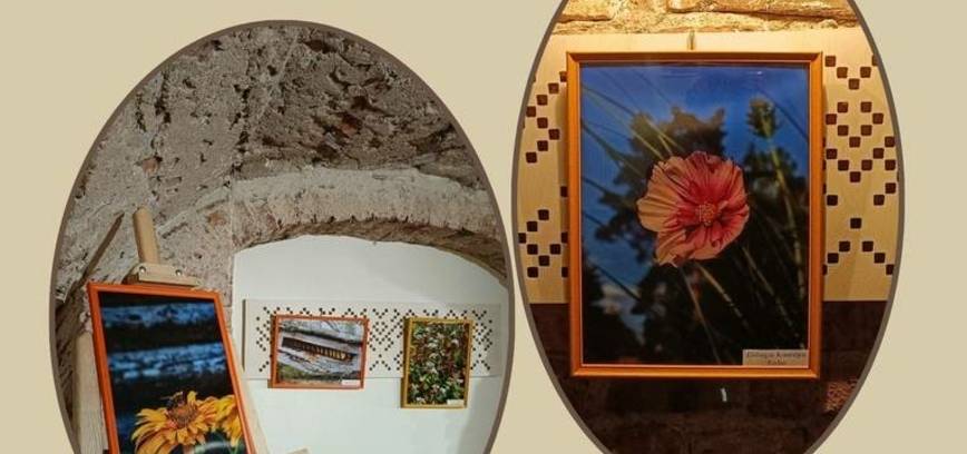 Austėjos Elenos Pugačiauskaitės fotografijų paroda „Gamta, telefonas ir aš“ 