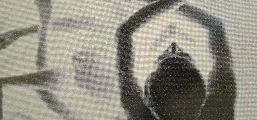 Dalios Blažaitienės siuvinėtų paveikslų paroda