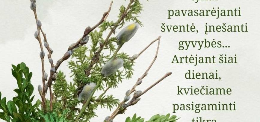 Czasownik wiążący edukację