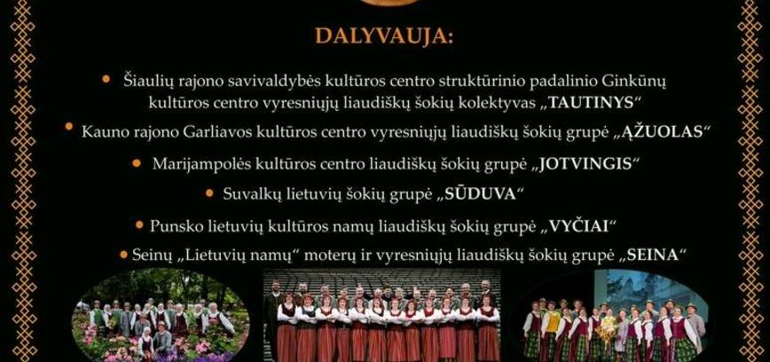 V LIETUVIŲ LIAUDIŠKOS MUZIKOS IR ŠOKIŲ ŠVENTĖ 