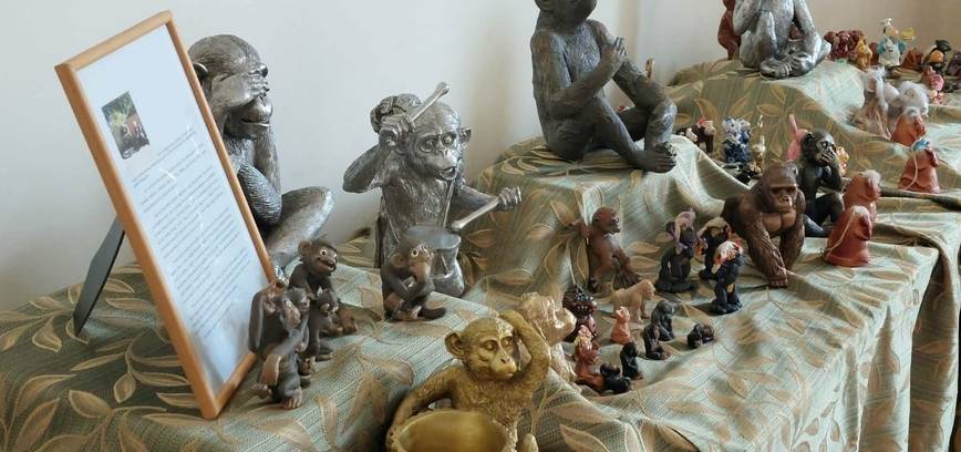 Wystawa małp autorstwa lekarza Birutė Kaleninkaitė