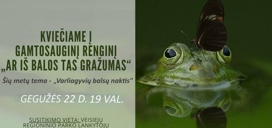 Naturschutzaktion „Ist diese Schönheit aus der Pfütze?“