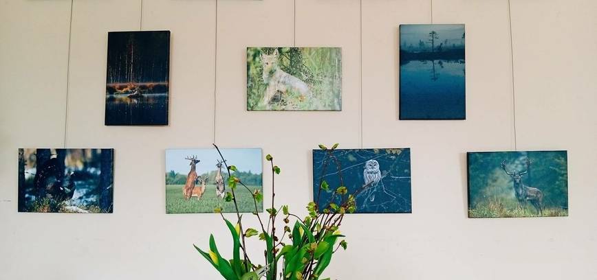 Justina Baigytė's photography exhibition 