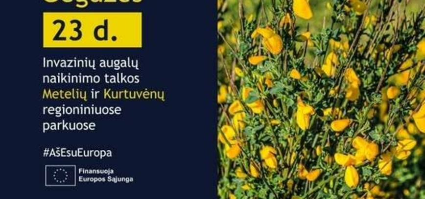 Pomoc w zwalczaniu roślin inwazyjnych