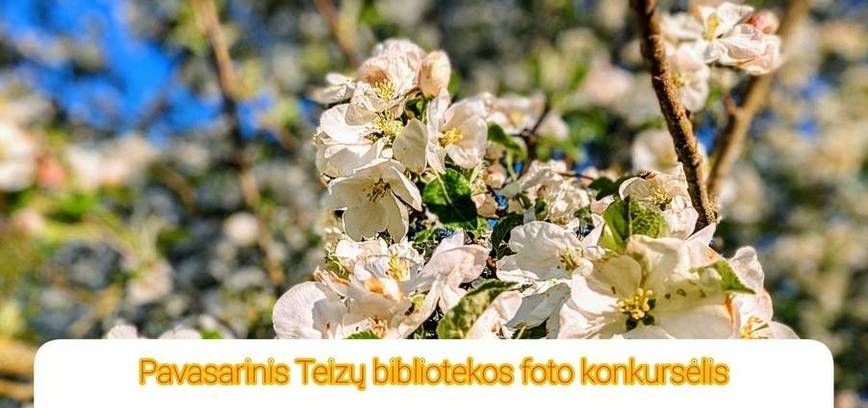 Wiosenny Konkurs Fotograficzny Biblioteki Teizai