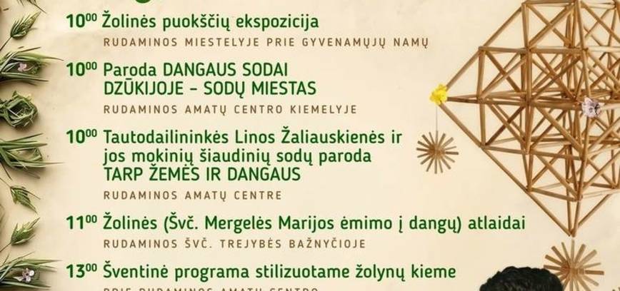 Лекарственные травы в Рудамине