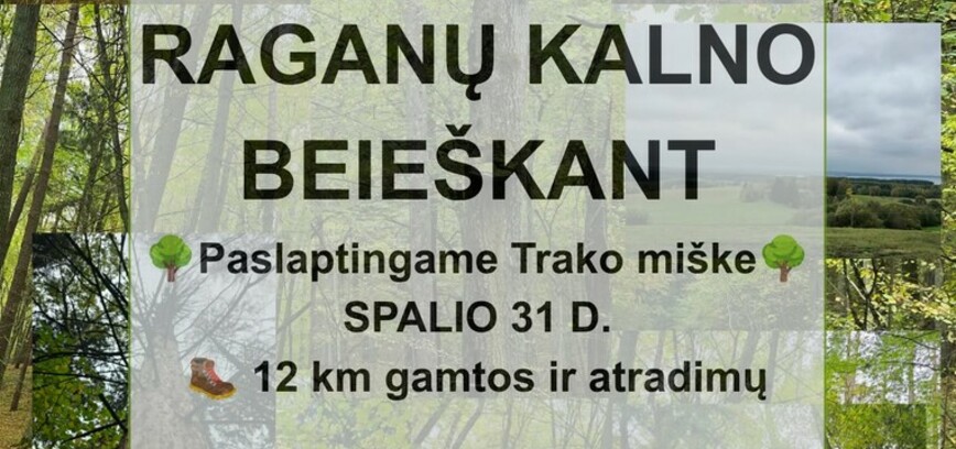 Žygis 