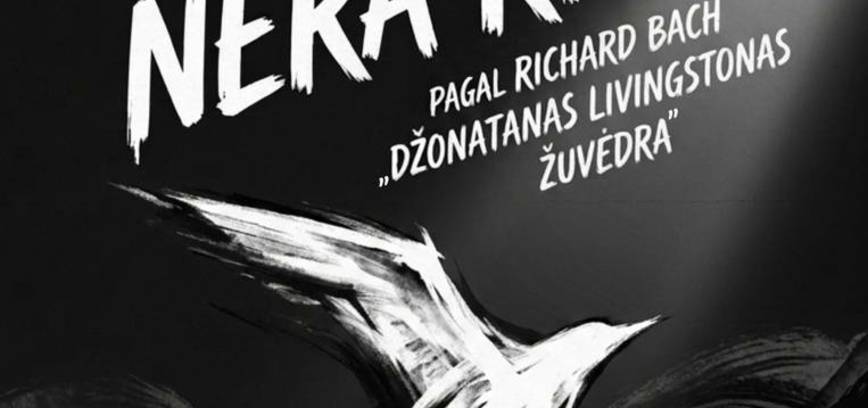 Meninės raiškos studijos „Macinga“ spektaklis „Nėra ribų“