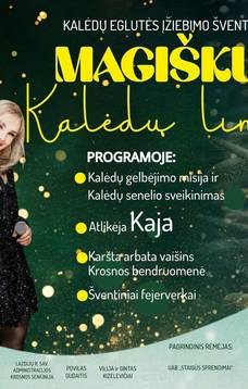 Kalėdų eglutės įžiebimo šventė "Magiškų kalėdų link"