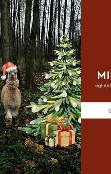 MILKĖ CHRISTMAS: rozświetlenie choinki i spotkanie ze zwierzętami