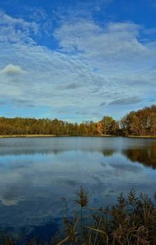 Austėjos Elenos Pugačiauskaitės fotografijų parodos „Gamta, telefonas ir aš“ pristatymas