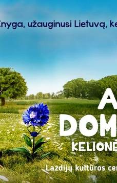 Film „Podróż konia Dominica do gwiazd”