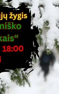 Nocna wycieczka piesza „Szlaki historyczne lasu Statiškė”