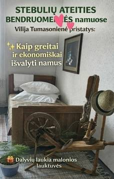 Vakaro diskusija "Kaip greitai ir ekonomiškai išvalyti namus"
