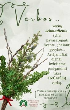 Verbų rišimo edukacija