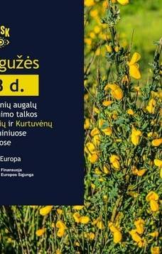 Pomoc w zwalczaniu roślin inwazyjnych