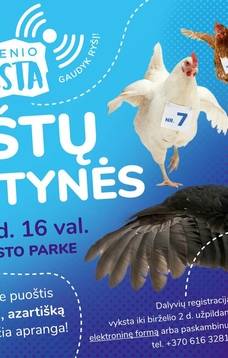 Tradicinės vištų lenktynės
