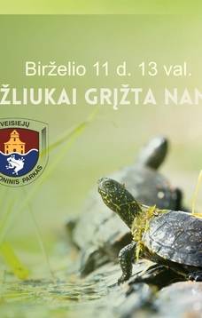 Veranstaltung „Die Schildkröten kommen nach Hause“