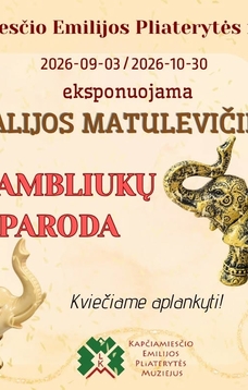 Vitalijos Matulevičienės kolekcinių keraminių drambliukų paroda