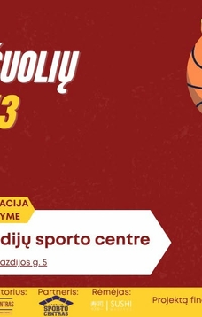 3x3 krepšinio turnyras "Šuolių aikštė"