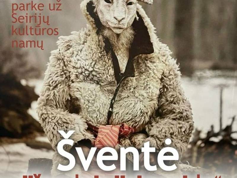 Celebration "Mardi Gras Fun"