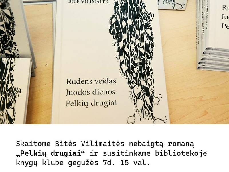 Book club meeting in Krosna