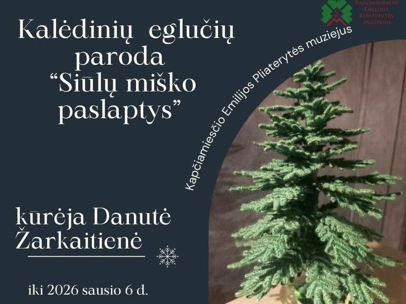 Danutės Žarkaitienės kūrybos darbų paroda "Siūlų miško paslaptys"