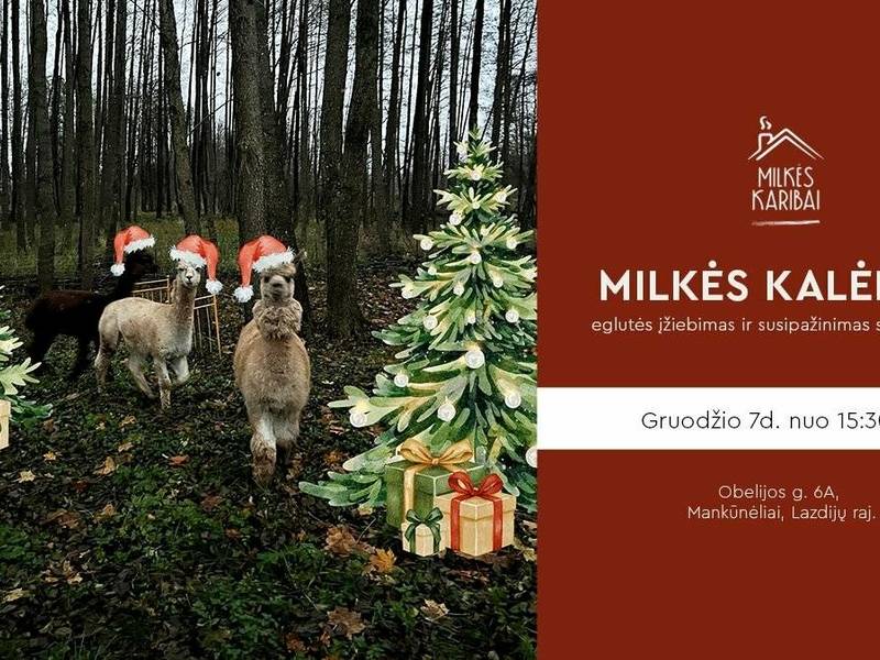 MILKĖS KALĖDOS: eglutės įžiebimas ir susipažinimas su gyvūnais