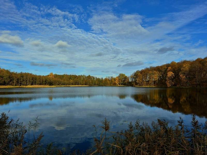 Austėjos Elenos Pugačiauskaitės fotografijų parodos „Gamta, telefonas ir aš“ pristatymas