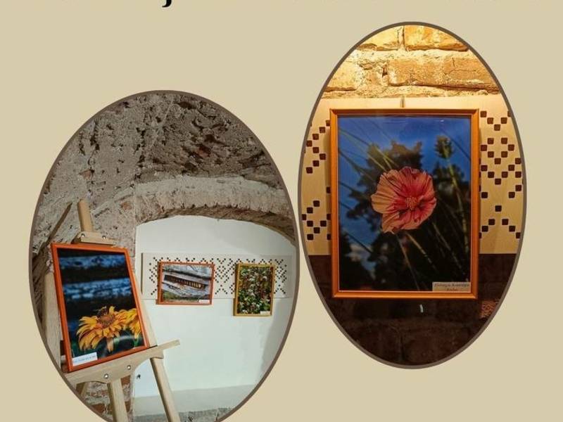 Austėjos Elenos Pugačiauskaitės fotografijų paroda „Gamta, telefonas ir aš“ 