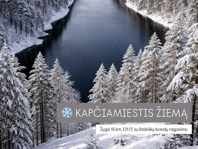 KAPČIAMIESTIS IN WINTER: a hike through forests, hills, near lakes (with a tasting of Dzūkii herds)