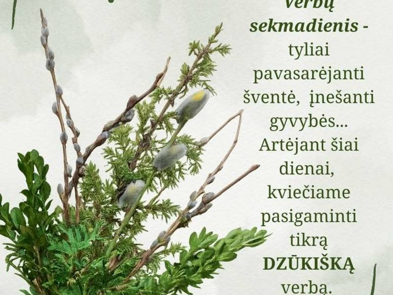 Czasownik wiążący edukację