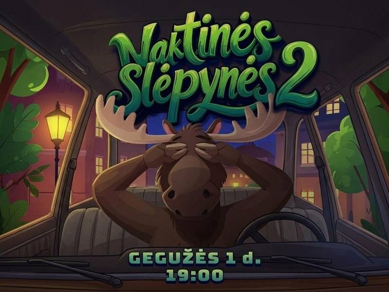 Nocna zabawa w chowanego 2