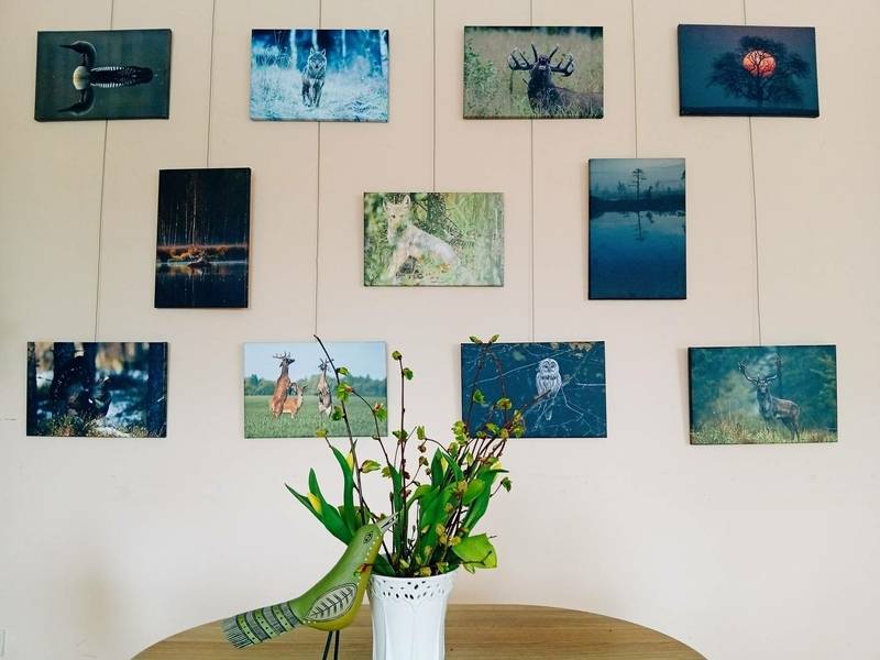 Justina Baigytės Fotoausstellung „Lasst uns die Natur lieben“