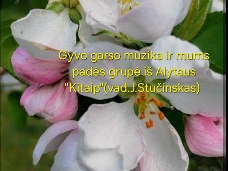 Wydarzenie „Cuda tańczą ponownie”