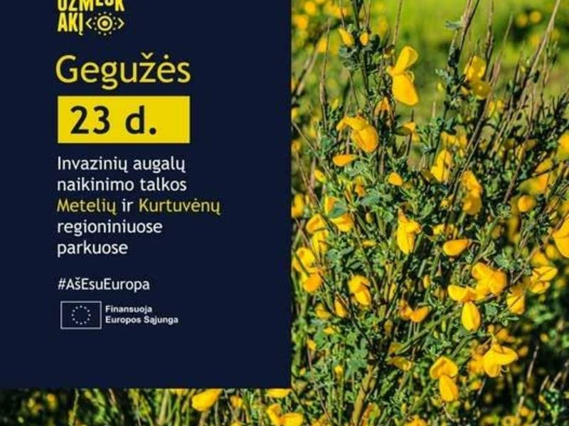 Pomoc w zwalczaniu roślin inwazyjnych