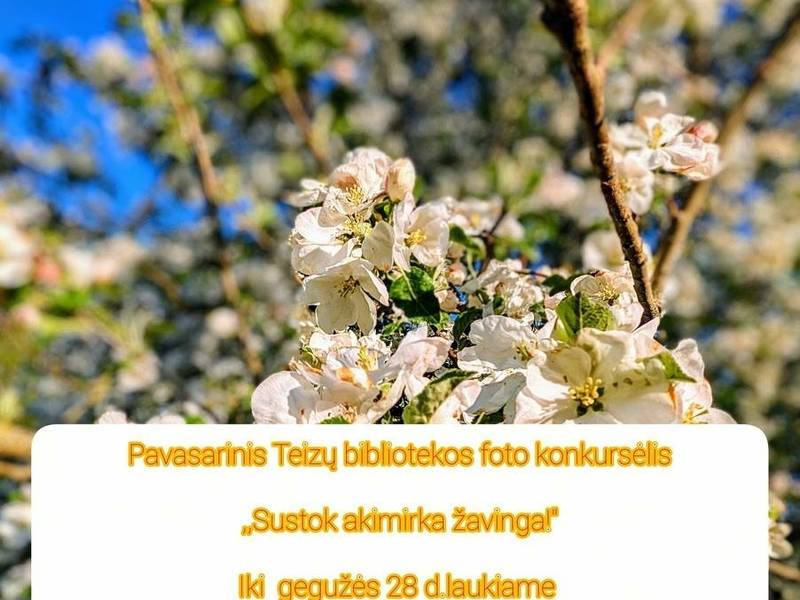Teizai Library Spring Photo Contest